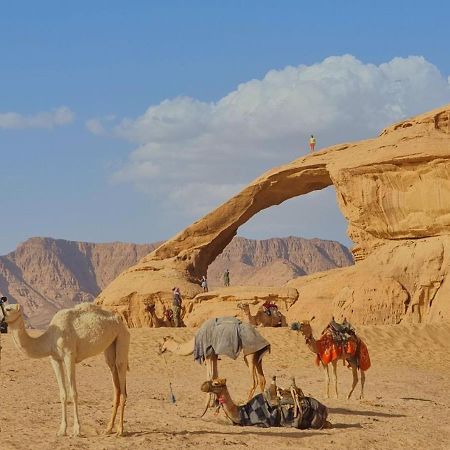 Wadi Rum Desert Camp 외부 사진
