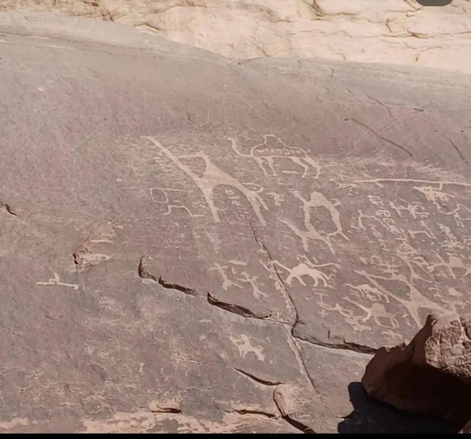 Wadi Rum Desert Camp 외부 사진