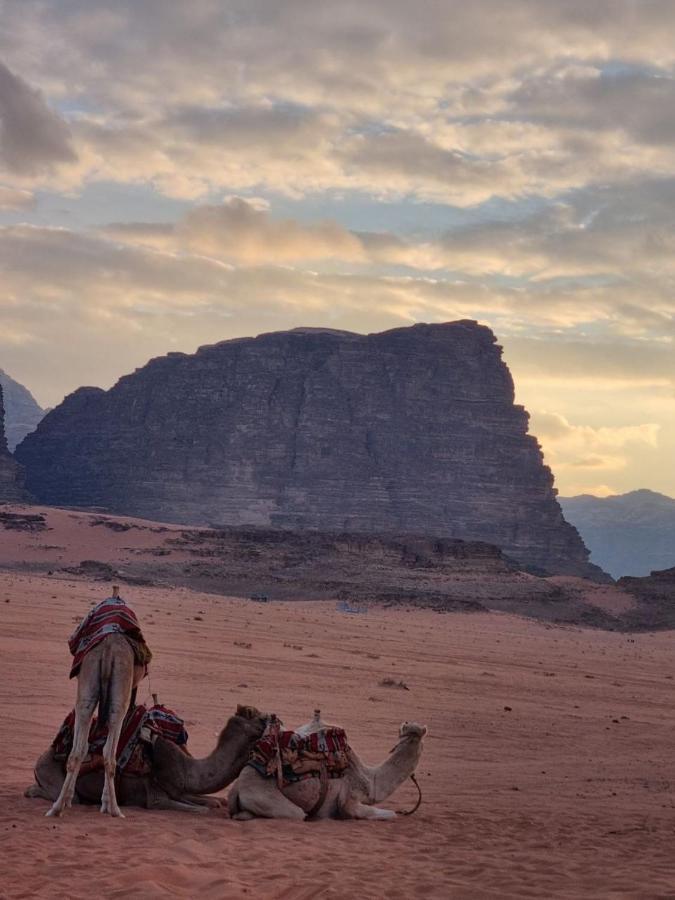 Wadi Rum Desert Camp 외부 사진